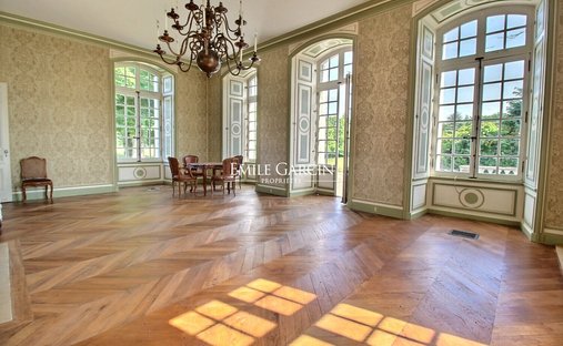 Castle for Sale in La Flèche, Pays de la Loire, France