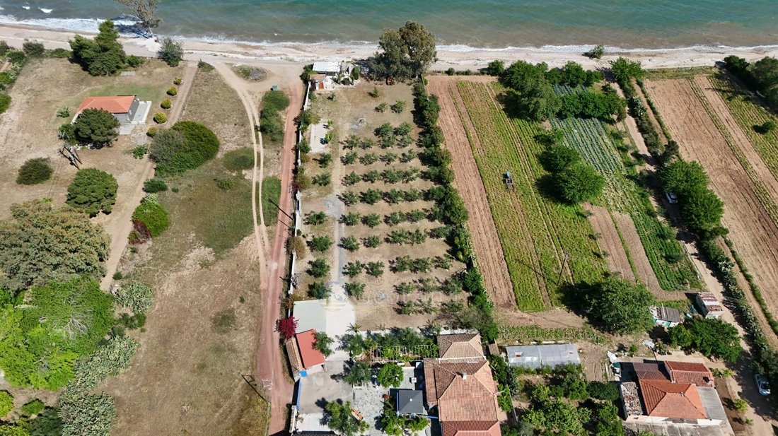 Land in Messini, Peloponnese, Western Greece and the Ionian, Greece 2 - 15959065