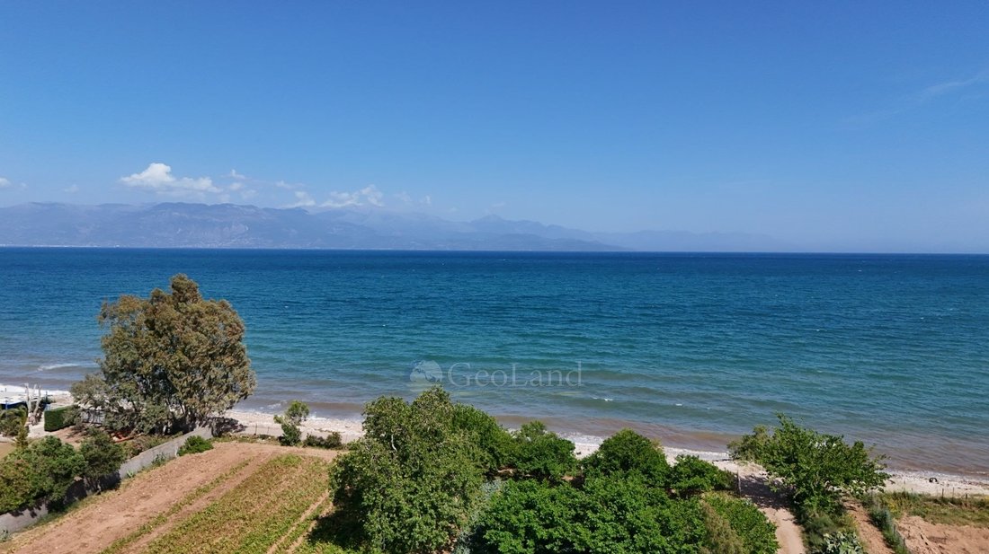 Land in Messini, Peloponnese, Western Greece and the Ionian, Greece 1 - 15959065