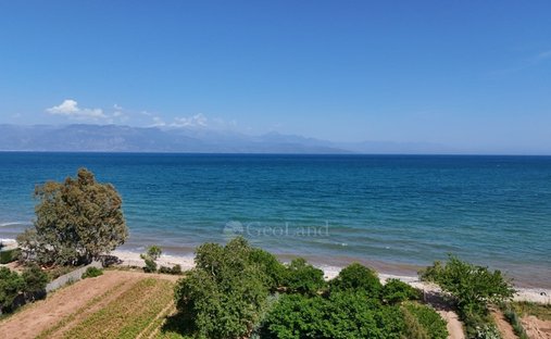 Land in Messini, Peloponnese, Western Greece and the Ionian, Greece 1