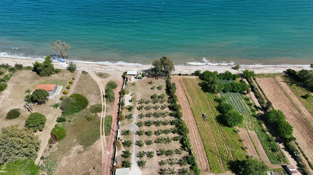 Land in Messini, Peloponnese, Western Greece and the Ionian, Greece 5 - 15959065