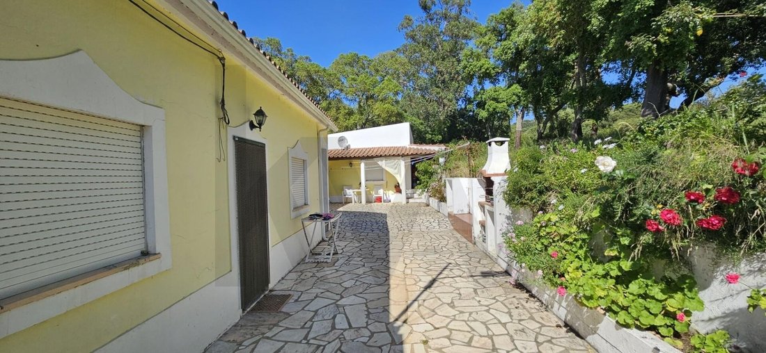 Farm Ranch in Sao Domingos e Vale de Agua, Setubal, Portugal 4 - 15949622