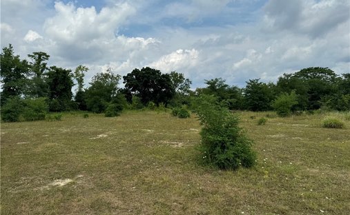 Farm Ranch in Canonsburg, Pennsylvania, United States 1