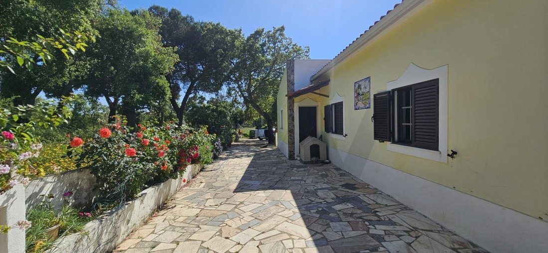 Farm Ranch in Sao Domingos e Vale de Agua, Setubal, Portugal 1 - 15949622