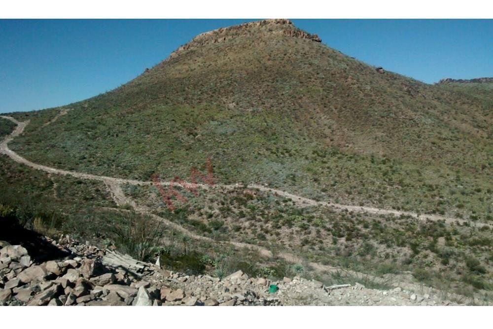Mapimí, Durango, Mexico 1 - 15963413