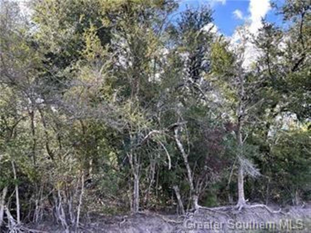 Land in Lake Charles, Louisiana, United States 4 - 14715132