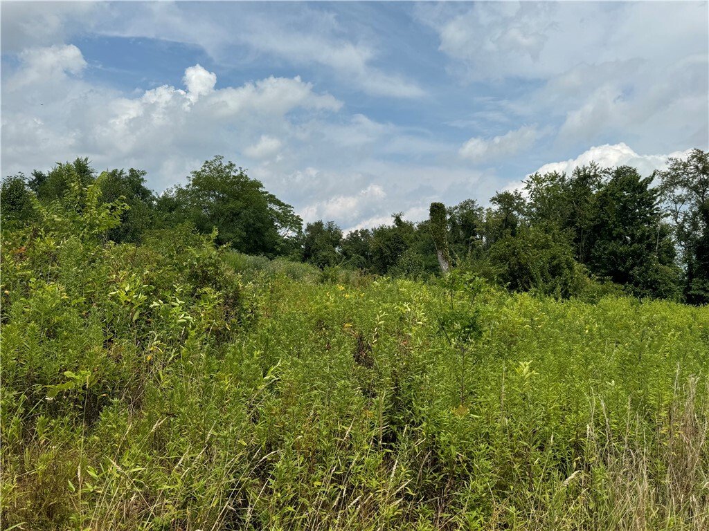 Farm Ranch in Canonsburg, Pennsylvania, United States 4 - 15963314
