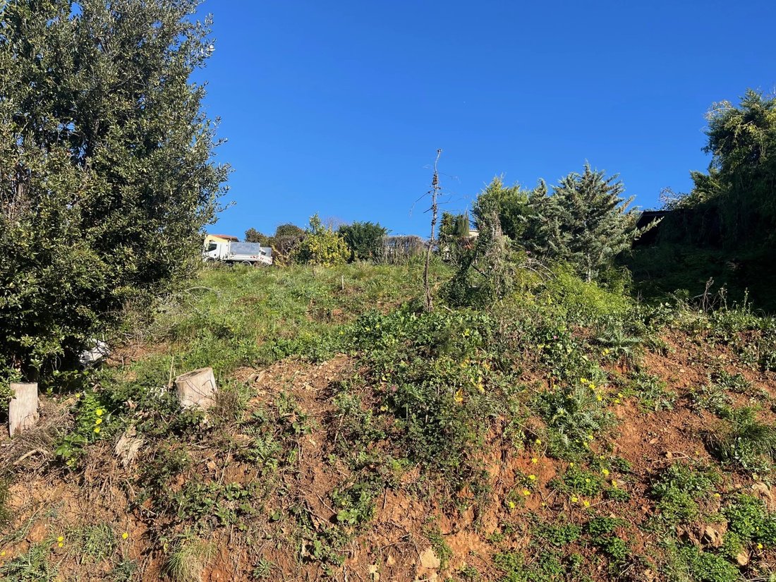 Land in Nice, Provence-Alpes-Côte d'Azur, France 4 - 15963686