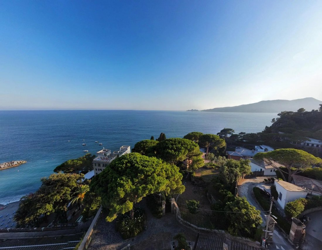 Apartment in Zoagli, Liguria, Italy 2 - 14511443