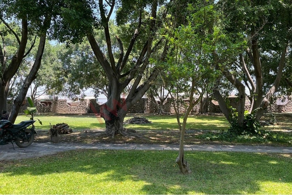 Land in Xoxocotla, Morelos, Morelos, Mexico 3 - 15965244