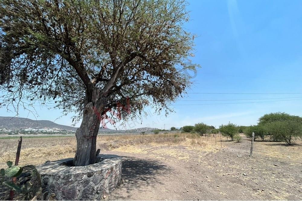 Land in San Isidro Buenavista, Querétaro, Mexico 4 - 15965234