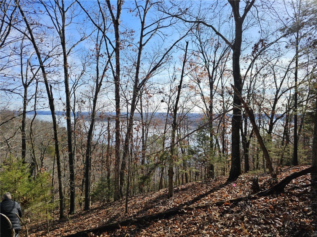 Land in Garfield, Arkansas, United States 5 - 15963340