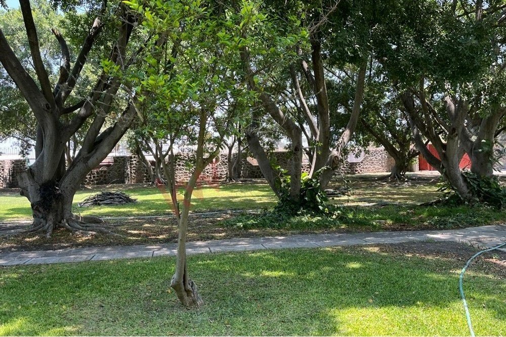 Land in Xoxocotla, Morelos, Morelos, Mexico 2 - 15965244