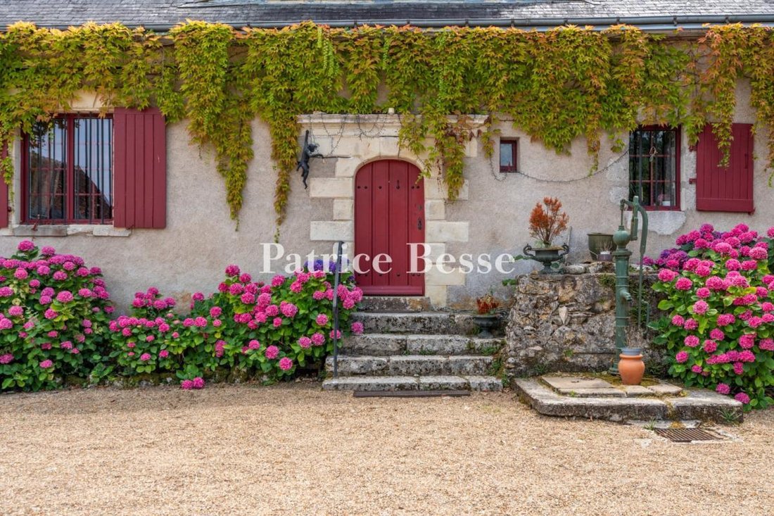 House in Grammont, Tours, France 5 - 15446701