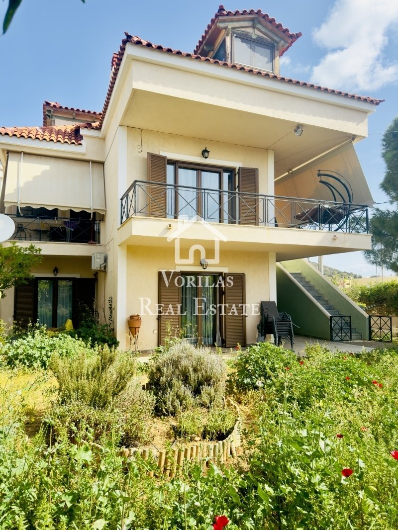 House in Anavissos, Attica, Greece 2 - 15962303