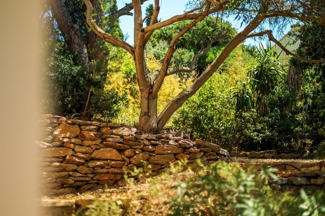 House in Île du Levant, Provence-Alpes-Côte d'Azur, France 5 - 15962000
