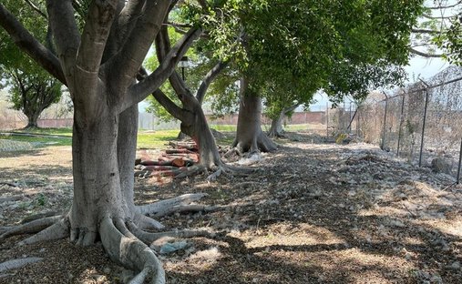 Land in Xoxocotla, Morelos, Morelos, Mexico 1