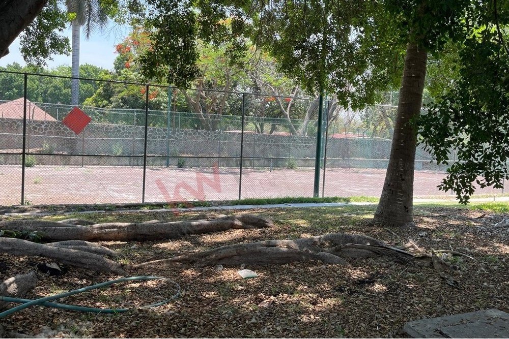 Land in Xoxocotla, Morelos, Morelos, Mexico 5 - 15965244