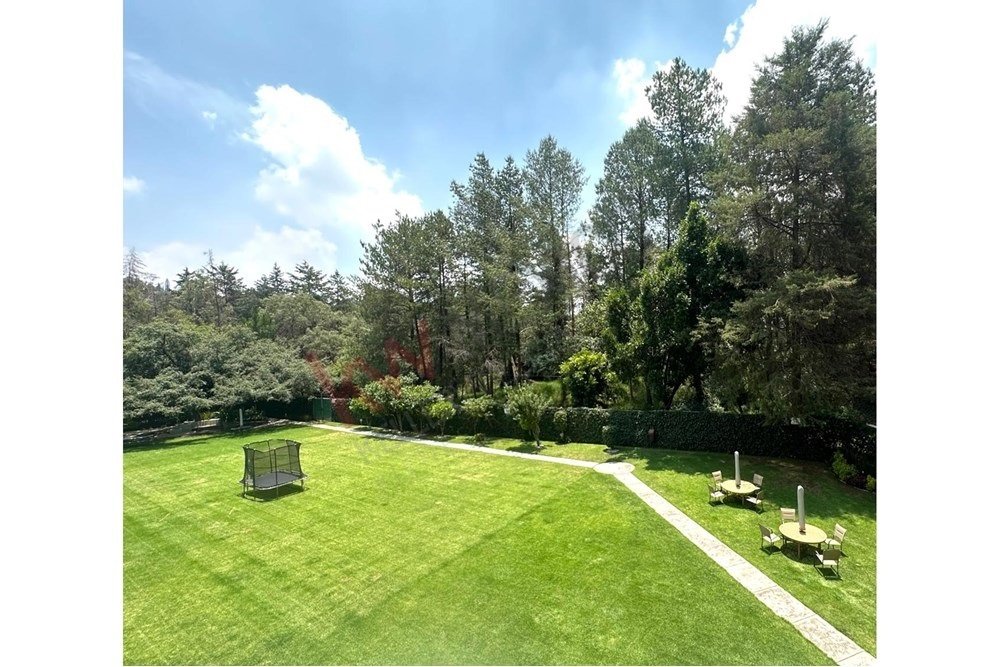Apartment in Mexico City, Mexico 4 - 15965231