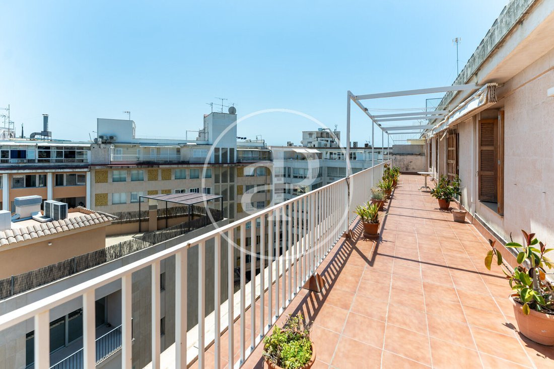 Penthouse in Palma, Balearic Islands, Spain 2 - 15964226