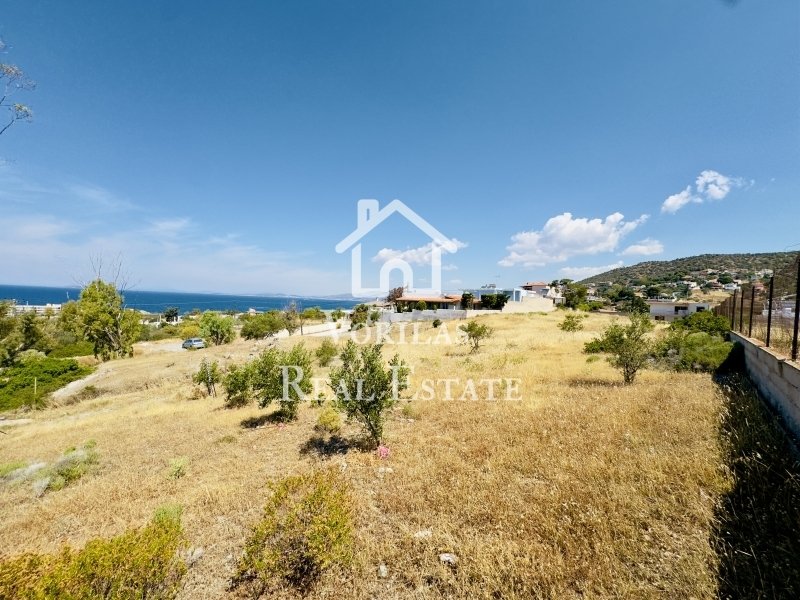 Land in Anavissos, Attica, Greece 2 - 15960807