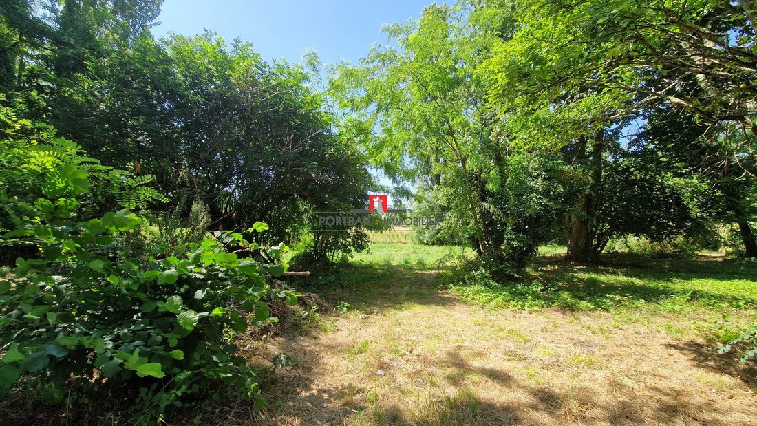 House in Prignac-et-Marcamps, Nouvelle-Aquitaine, France 4 - 15965378