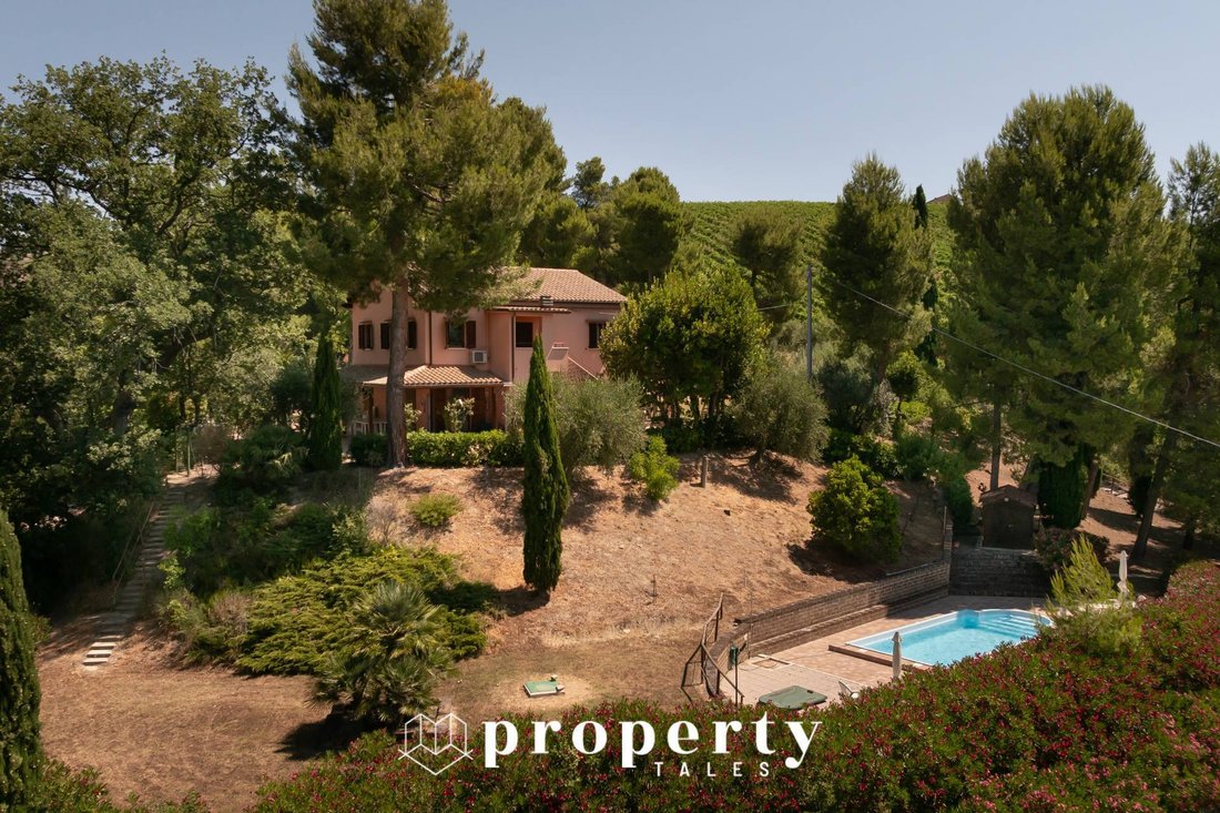 Country House in Cossignano, Marche, Italy 4 - 15962656