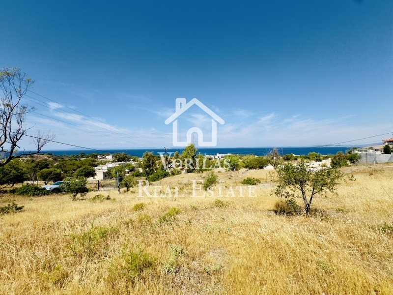 Land in Anavissos, Attica, Greece 1 - 15960807