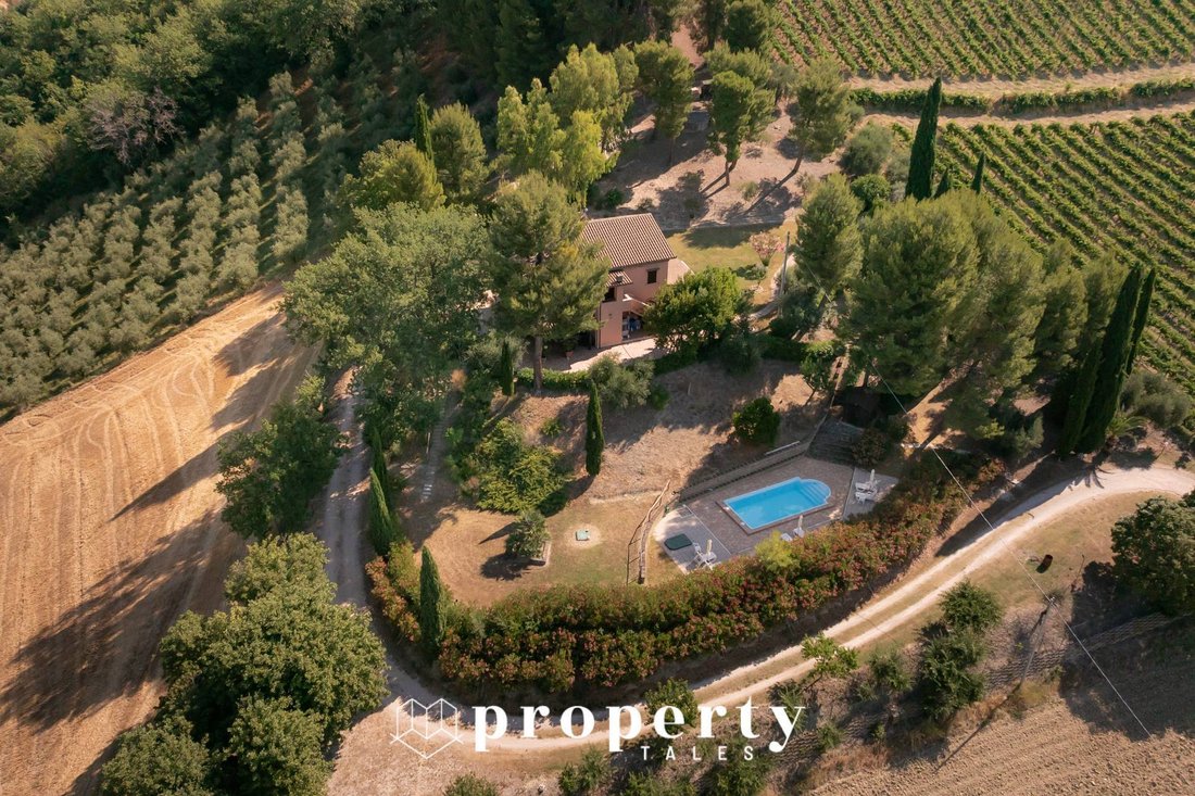 Country House in Cossignano, Marche, Italy 3 - 15962656