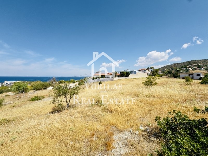 Land in Anavissos, Attica, Greece 5 - 15960807