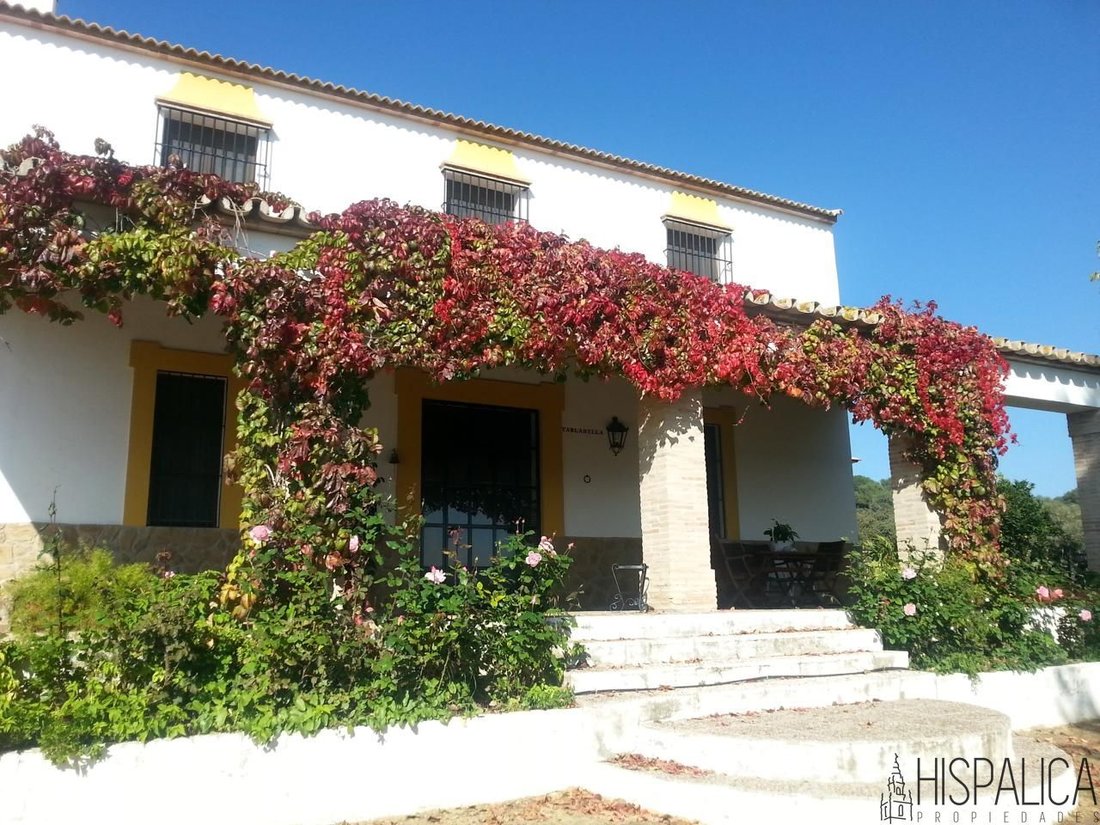 Casa di campagna a Penaflor, Andalusia, Spagna 2 - 15966057