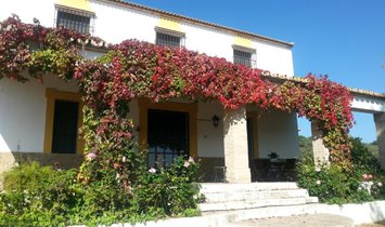 Country House in Penaflor, Andalusia, Spain 2