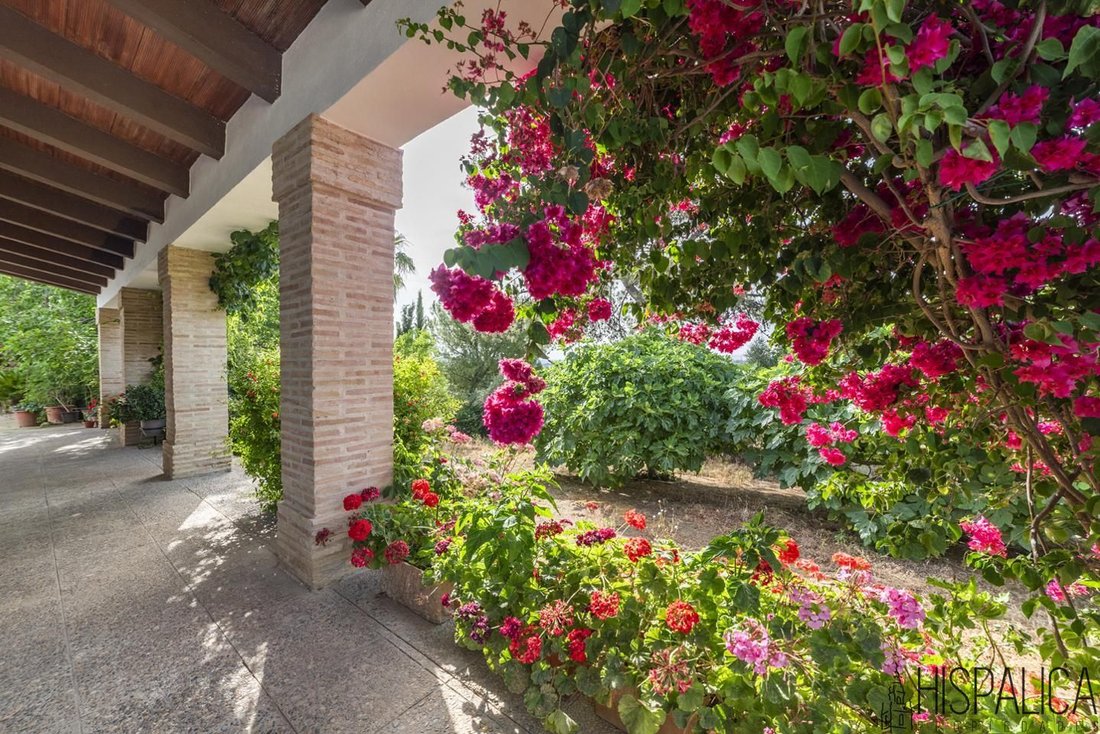 Casa di campagna a Penaflor, Andalusia, Spagna 1 - 15966057