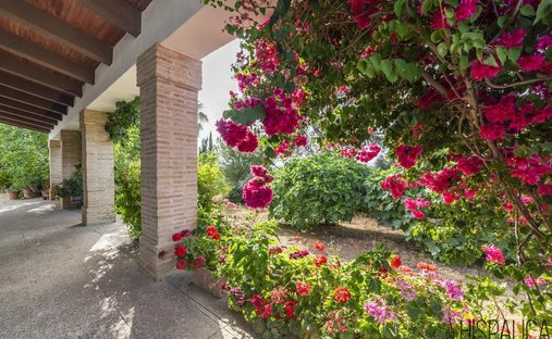 Casa di campagna a Penaflor, Andalusia, Spagna 1