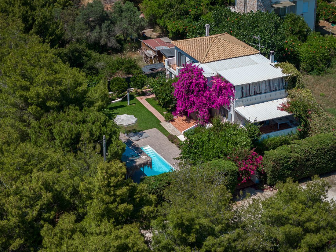 House in Marathonas, Attica, Greece 1 - 15965706