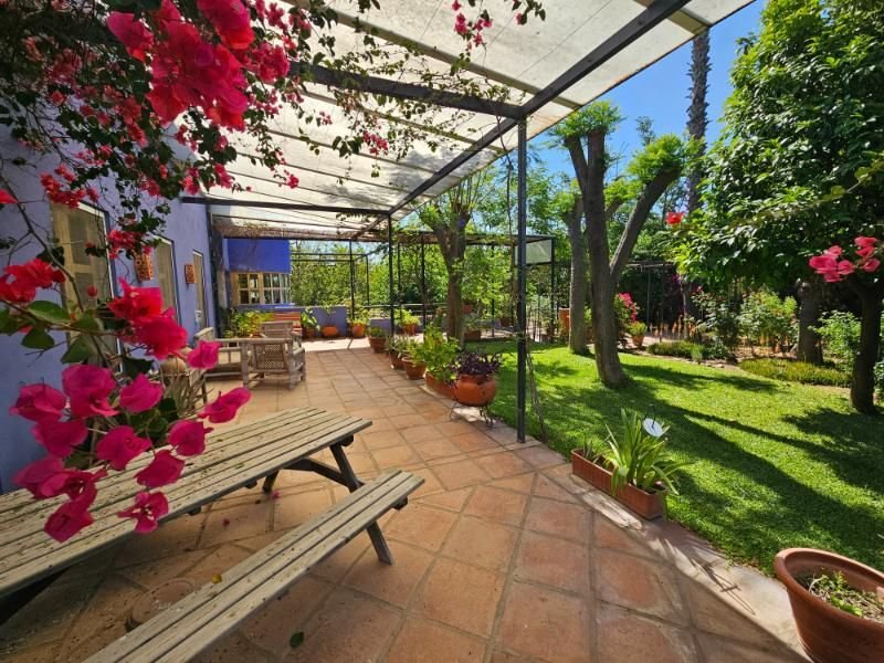 Chalet in Aznalcazar, Andalusia, Spain 3 - 15969988