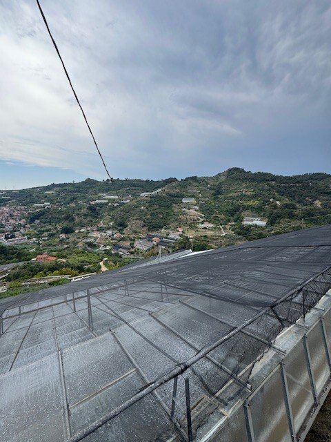 Villa in San Biagio della Cima, Liguria, Italy 3 - 15942417