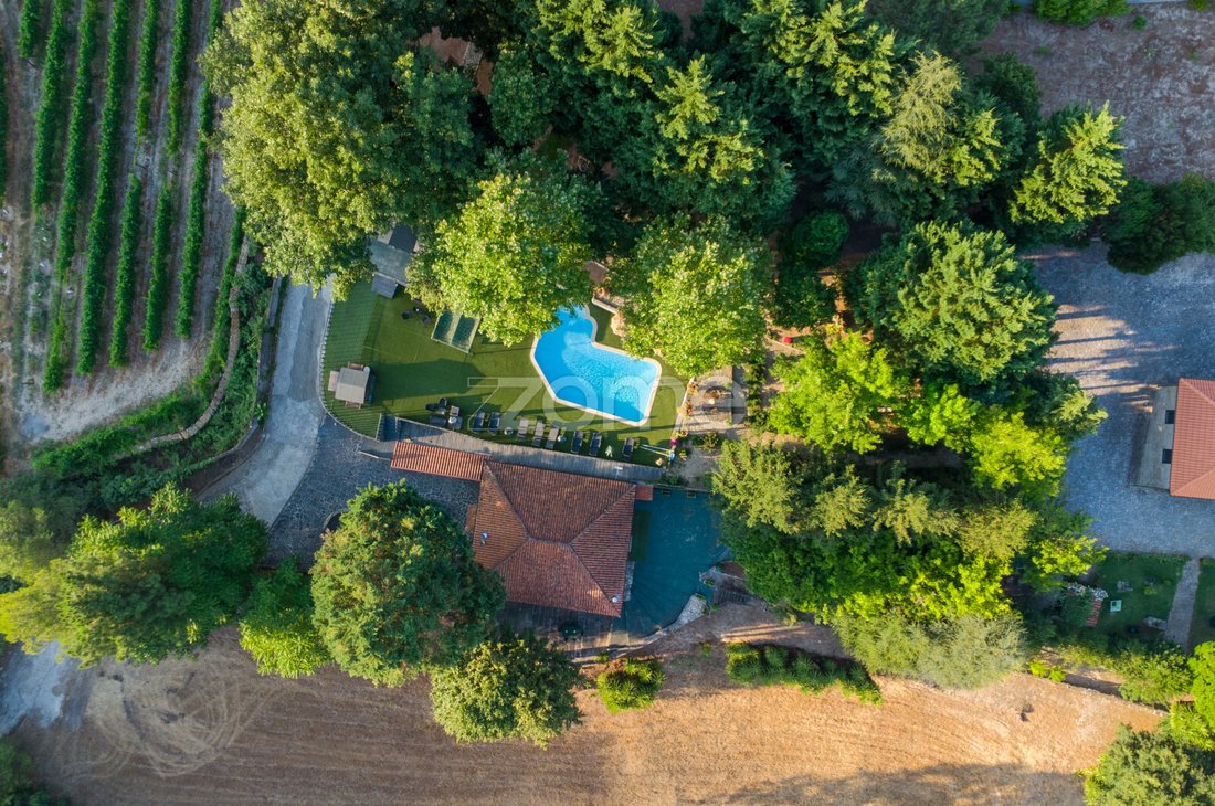 Finca in Santa Marinha do Zezere, Porto District, Portugal 3 - 15426422