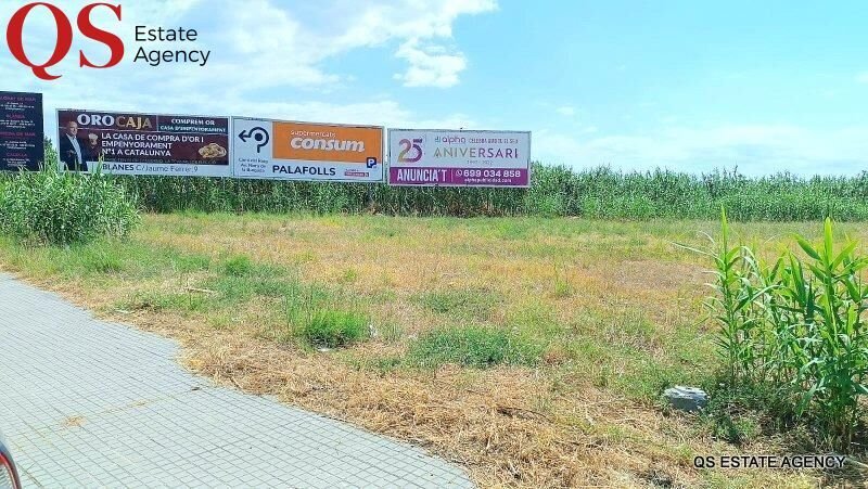 Land in Palafolls, Catalonia, Spain 3 - 15967299
