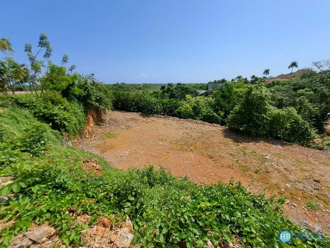 Terreno a Las Terrenas, Provincia di Samaná, Repubblica Dominicana 3 - 15969808