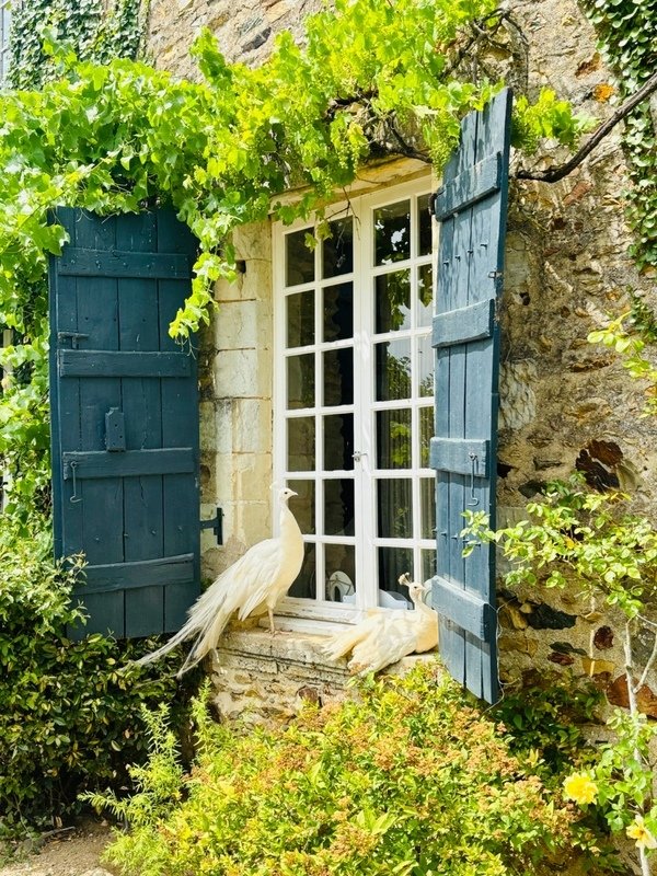House in Château-Gontier, Chateau-Gontier-sur-Mayenne, France 4 - 15967386