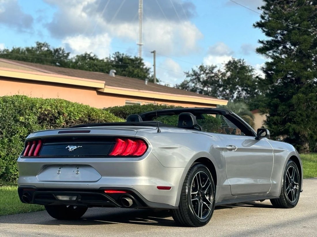 Cabriolet in West Park, FL, United States 4 - 15969638