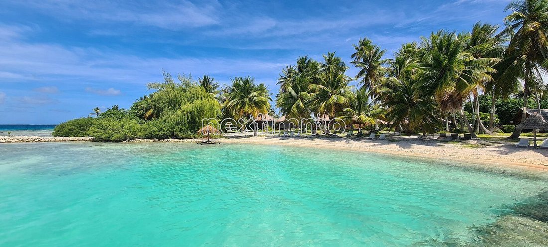 Manihi, The Tuamotu and Gambier Islands, French Polynesia 1 - 15969936