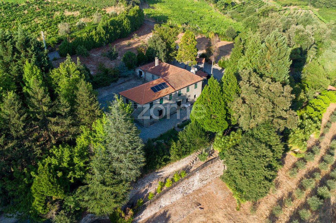 Finca in Santa Marinha do Zezere, Porto District, Portugal 5 - 15426422