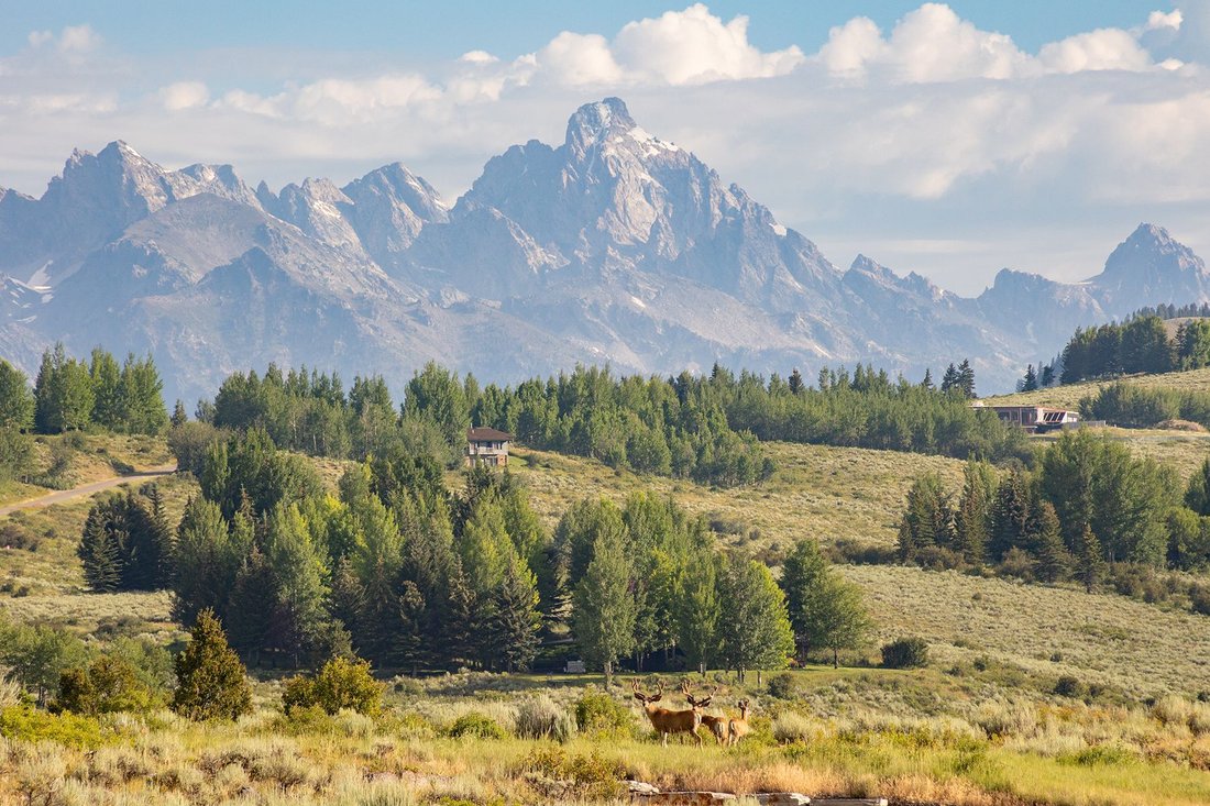 Terreno a Jackson, Wyoming, Stati Uniti 1 - 15968569