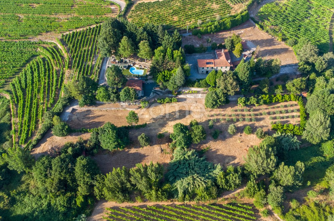 Finca in Santa Marinha do Zezere, Porto District, Portugal 4 - 15426422