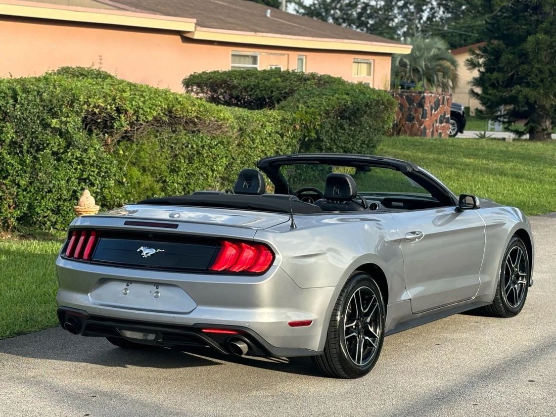 Cabriolet in West Park, FL, United States 5 - 15969638