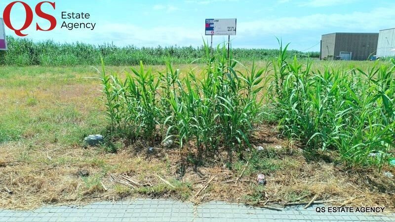 Land in Palafolls, Catalonia, Spain 4 - 15967299