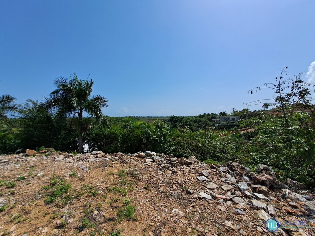 Terreno a Las Terrenas, Provincia di Samaná, Repubblica Dominicana 1 - 15969808