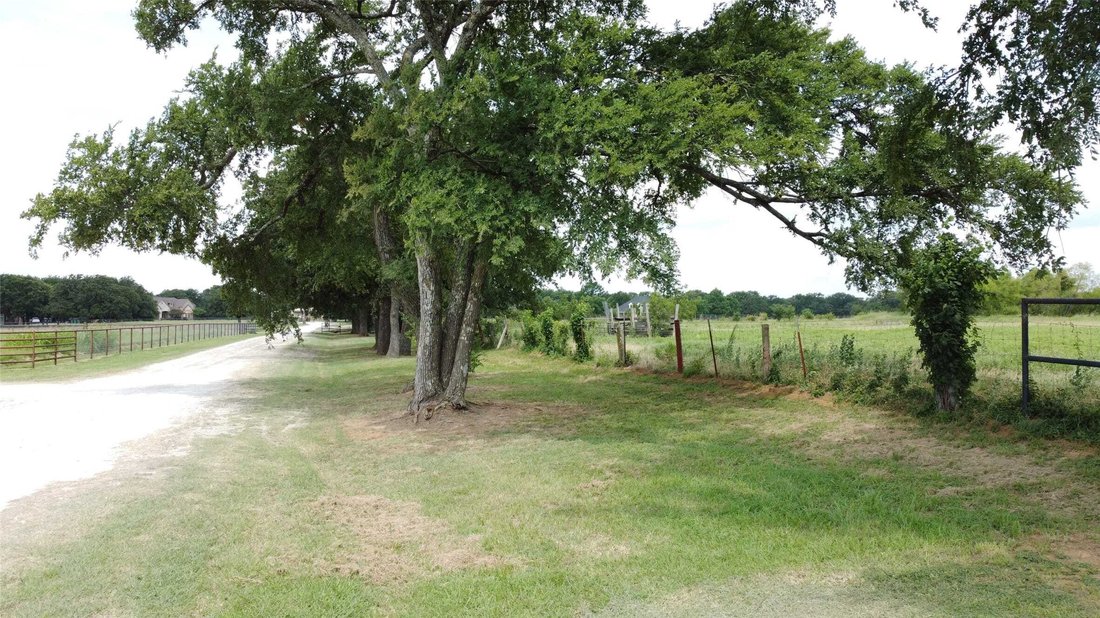 Land in Pilot Point, Texas, United States 5 - 15967983